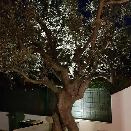 Apartamento Olive Fažana
